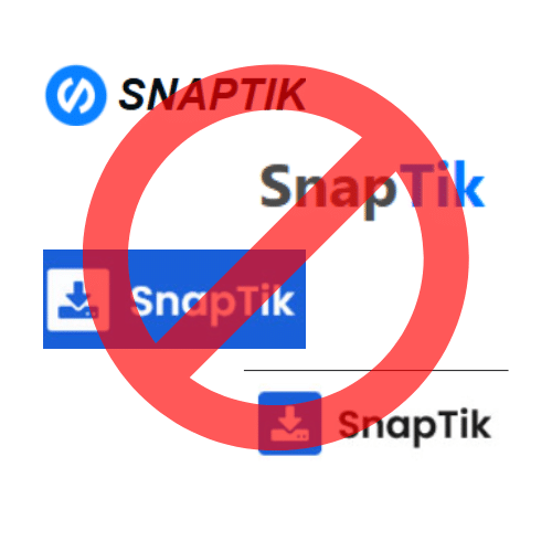 other TikTok downloader then snaptikk.org